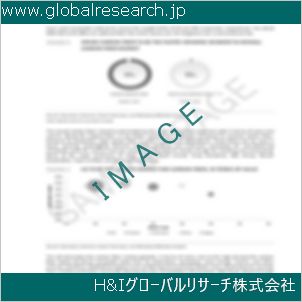グローバルリサーチ調査資料のイメージ